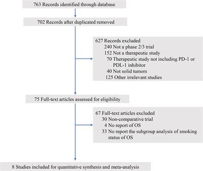 Efficacy of Anti-PD-1/PD-L1 Monotherapy or Combinational Therapy in Patients Aged 75 Years or Older: A Study-Level Meta-Analysis